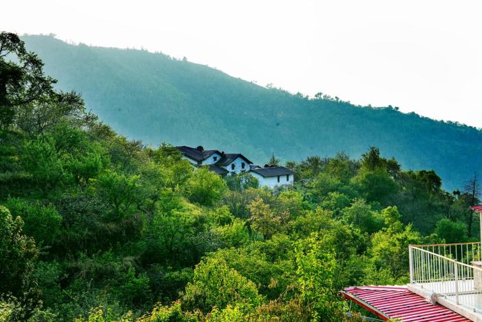 mountain bnb hartola uttarakhand