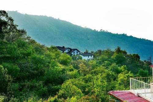 mountain bnb hartola uttarakhand