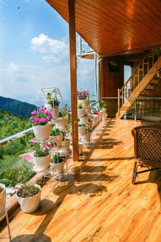 mountain bnb hartola uttarakhand