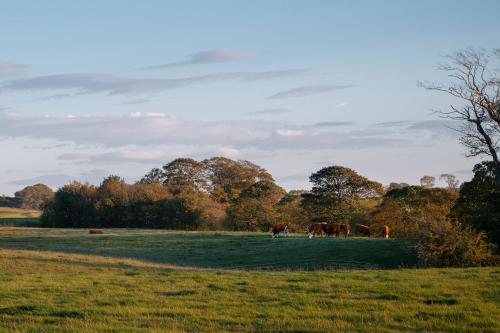 the highwayman hotel