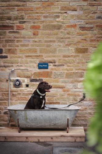 the highwayman hotel