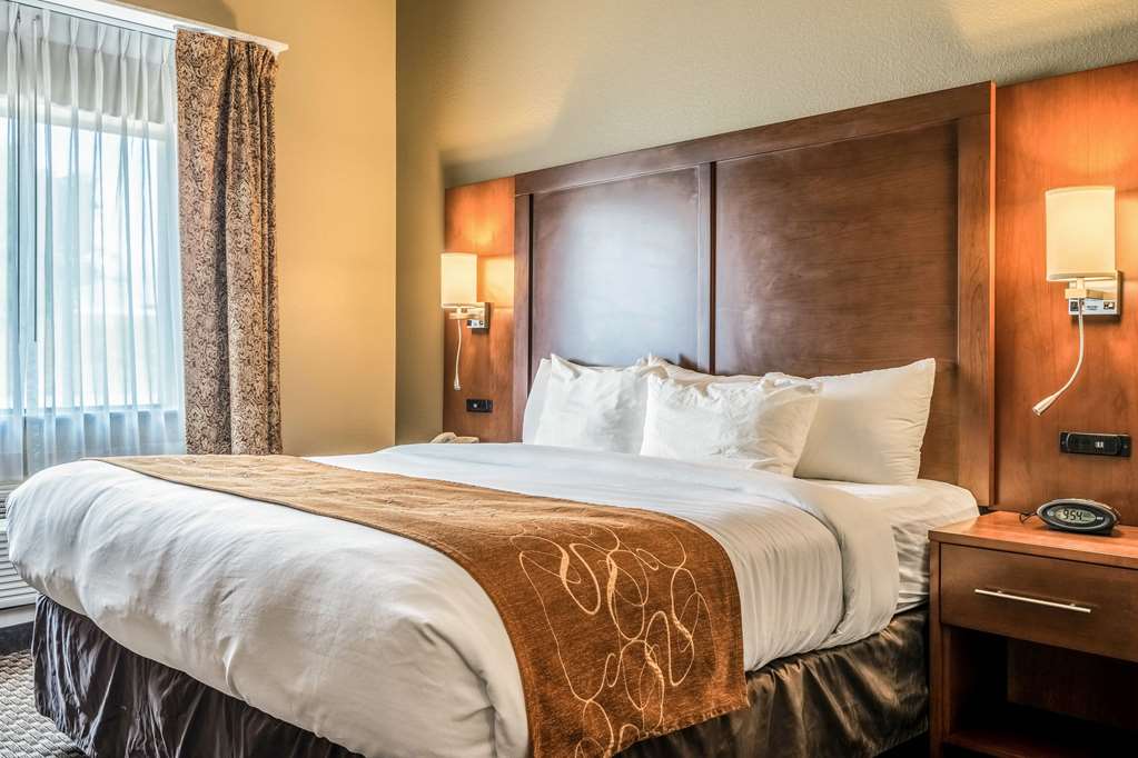 comfort suites near texas state university