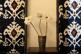 aakash heritage haveli
