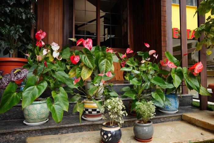 hotel orchard coorg