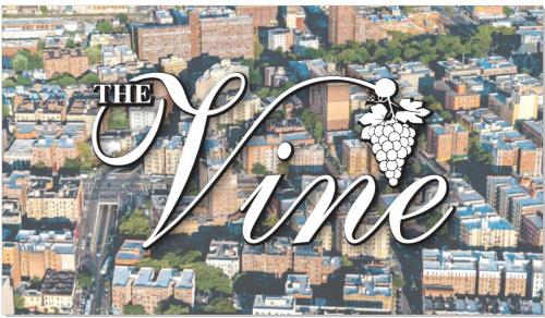 the vine hotel bronx