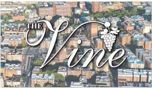 the vine hotel bronx