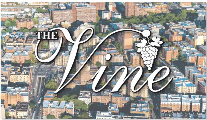 the vine hotel bronx