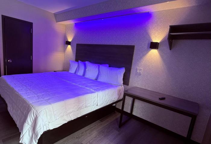 the vine hotel bronx