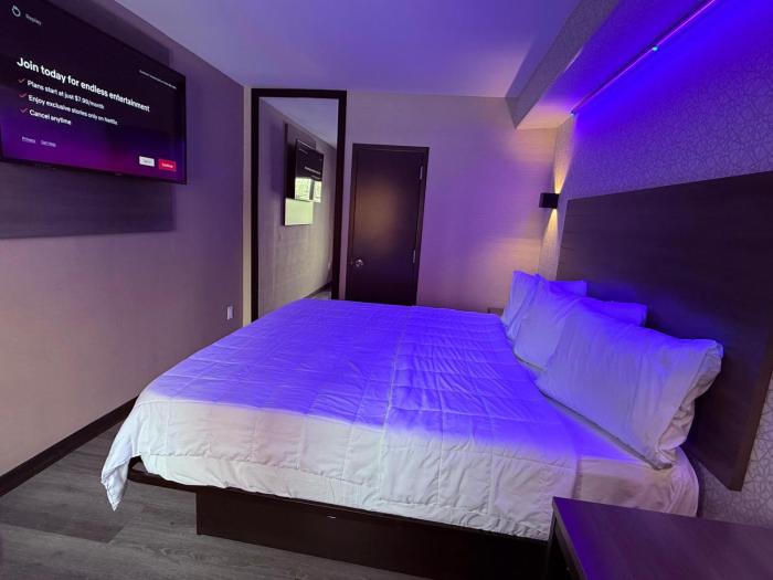 the vine hotel bronx