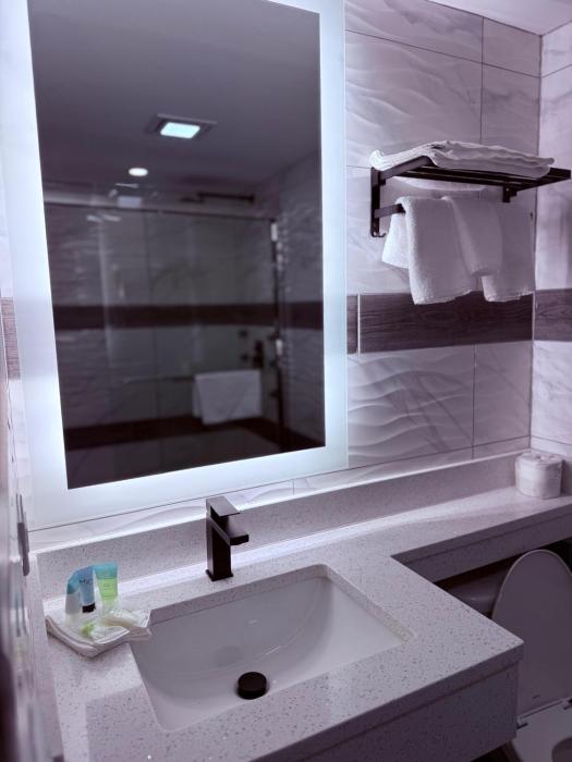 the vine hotel bronx