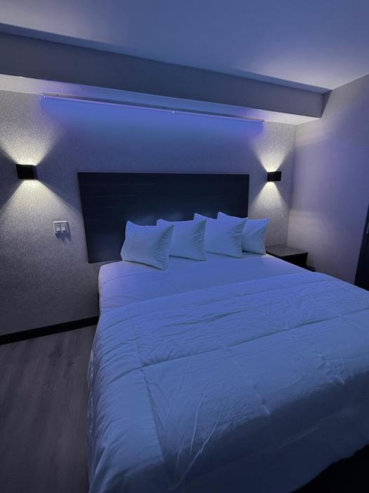 the vine hotel bronx