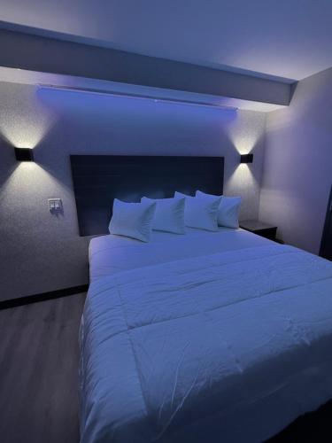 the vine hotel bronx