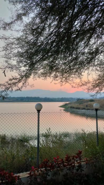 little swiss by the lake