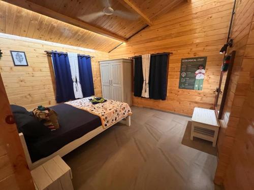 little swiss by the lake