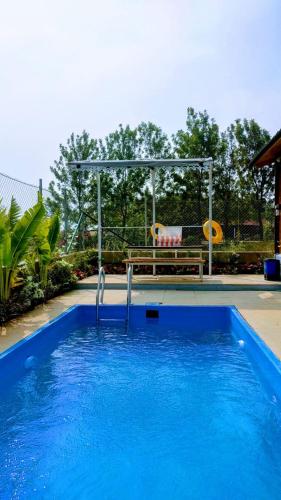 little swiss by the lake