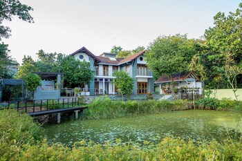 hibiscus earth cgh earth