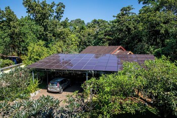 hibiscus earth cgh earth