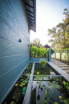 hibiscus earth cgh earth