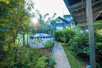 hibiscus earth cgh earth