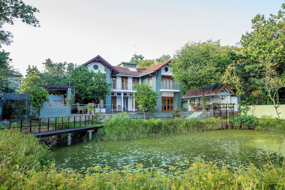 hibiscus earth cgh earth