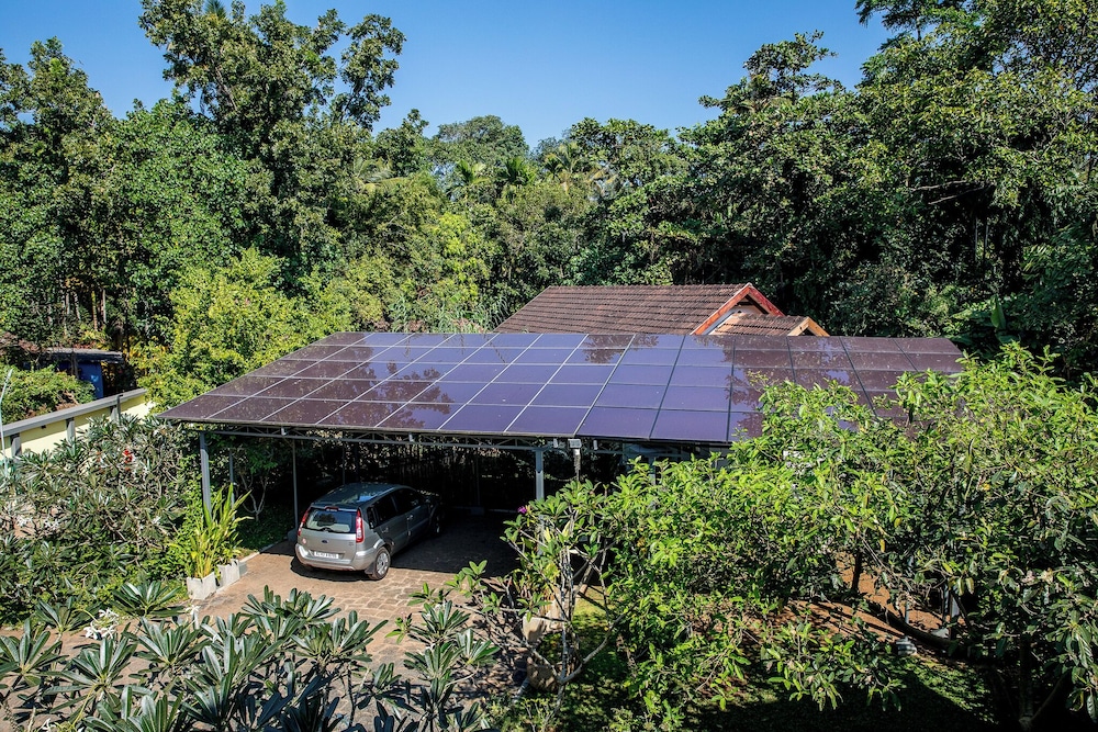 hibiscus earth cgh earth