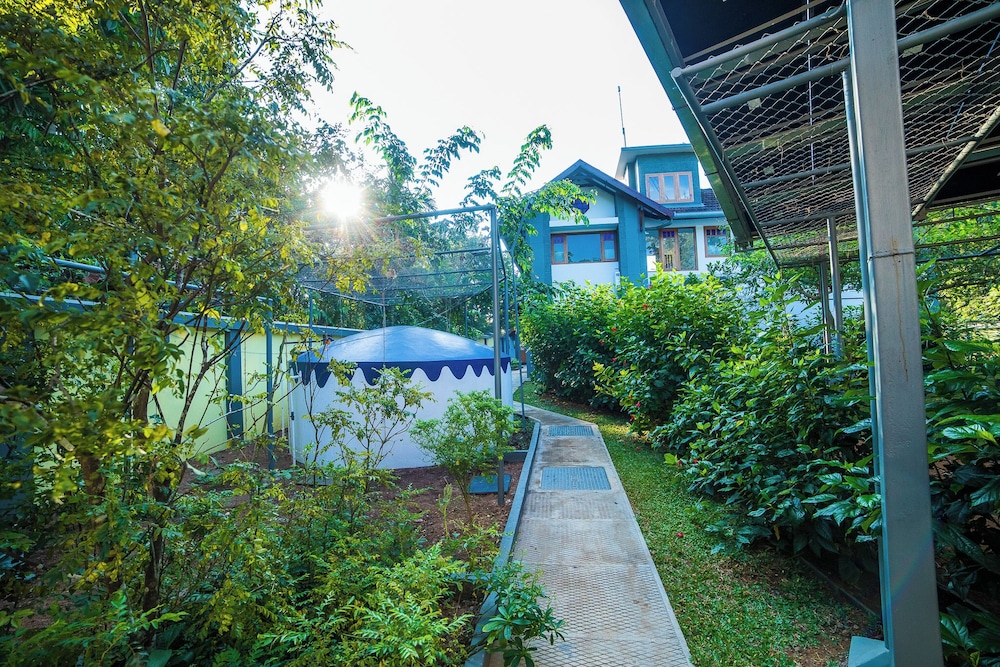 hibiscus earth cgh earth