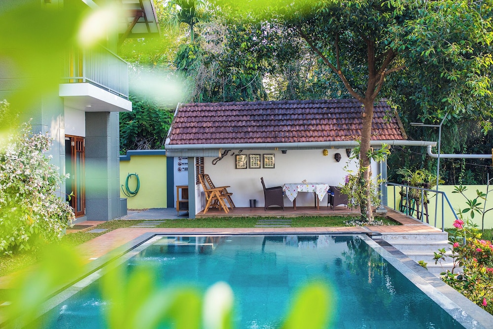 hibiscus earth cgh earth