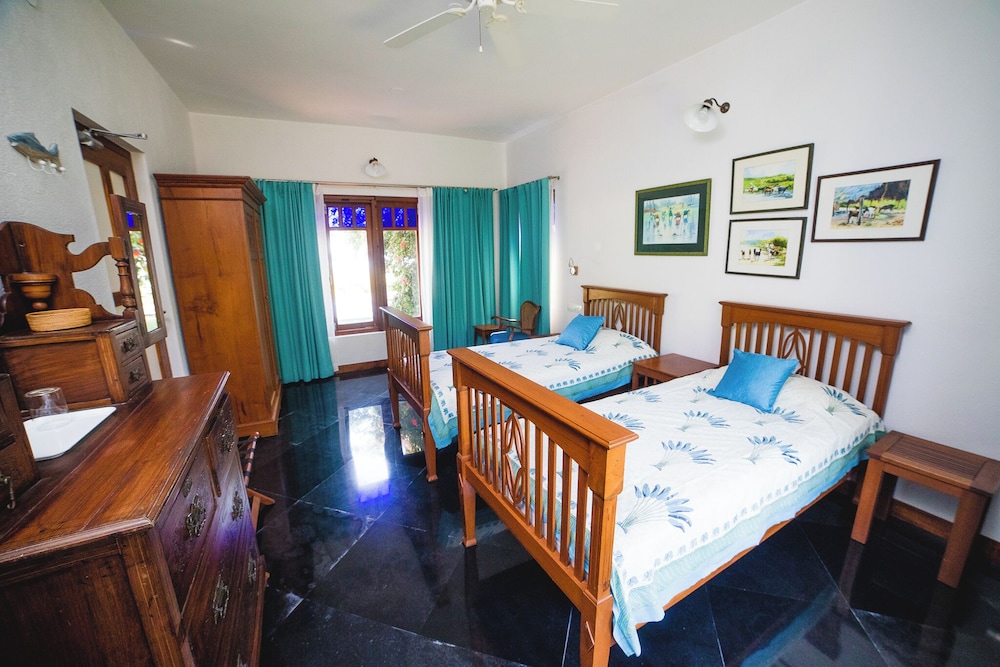 hibiscus earth cgh earth