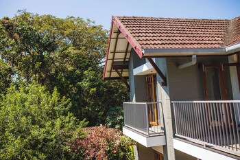 hibiscus earth cgh earth