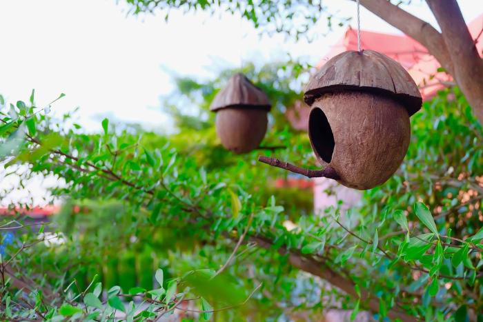 ruai thong pong pai resort