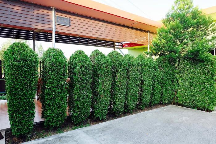 ruai thong pong pai resort