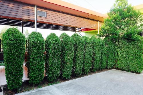 ruai thong pong pai resort