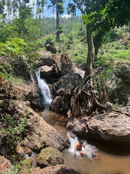 nature nirvana chikmagalur farmhouse