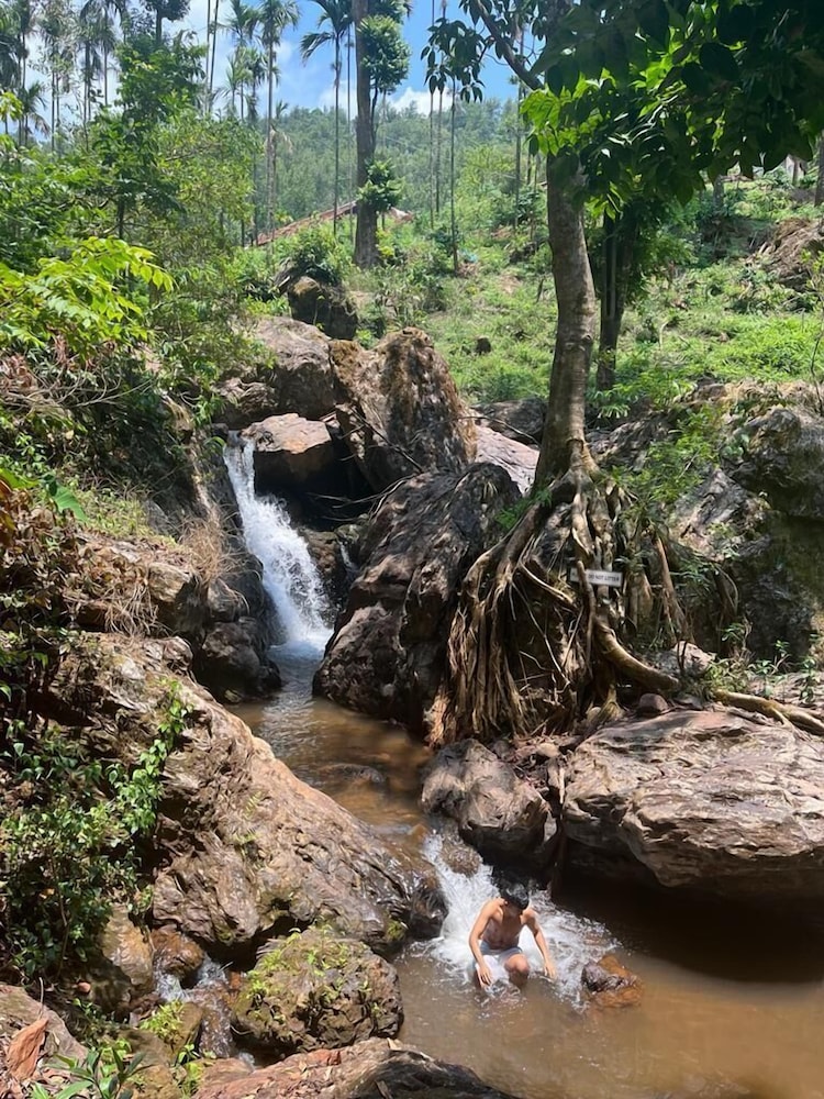nature nirvana chikmagalur farmhouse