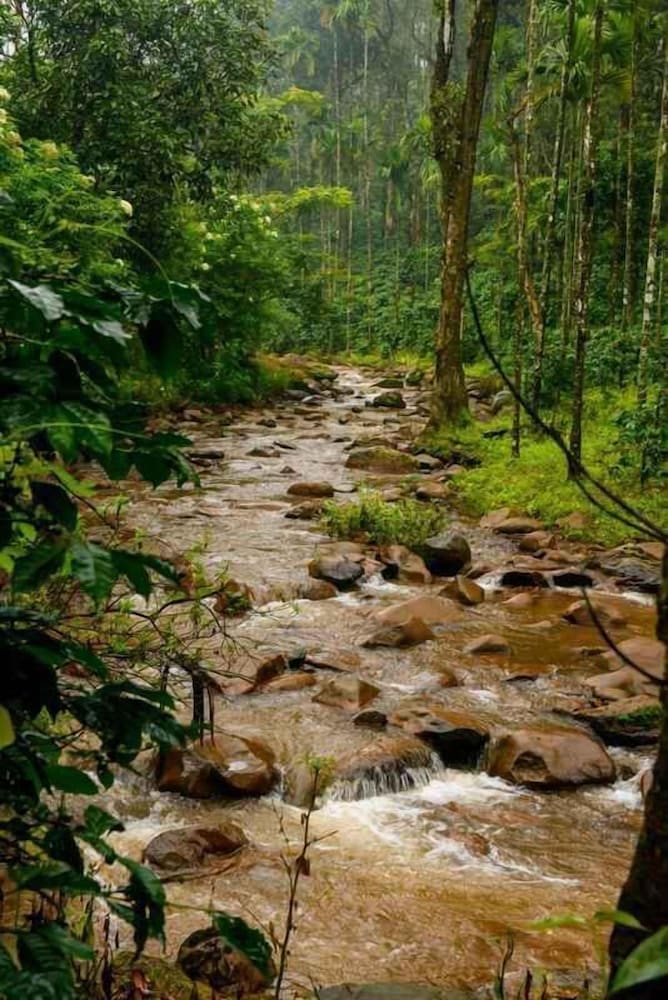 nature nirvana chikmagalur farmhouse