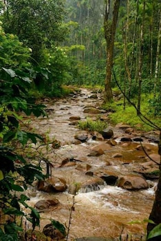 nature nirvana chikmagalur farmhouse