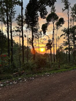 nature nirvana chikmagalur farmhouse