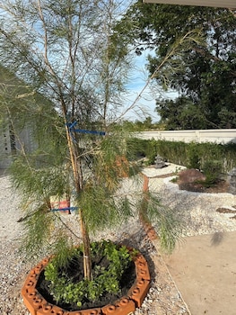 zen harmony house udonthani