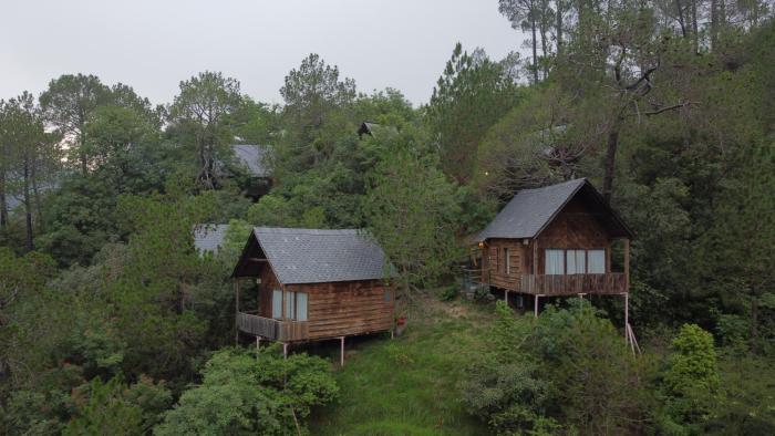 alaya stays suro woodbine chalet cottage