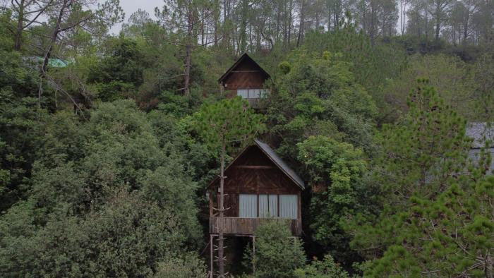 alaya stays suro woodbine chalet cottage