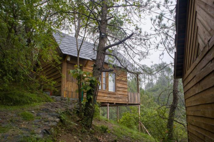 alaya stays suro woodbine chalet cottage