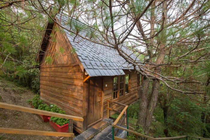 alaya stays suro woodbine chalet cottage