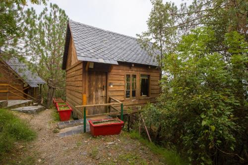 alaya stays suro woodbine chalet cottage