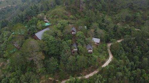 alaya stays suro woodbine chalet cottage