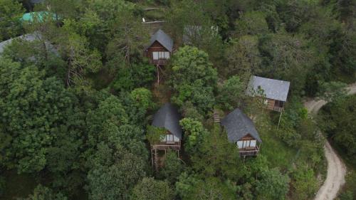 alaya stays suro woodbine chalet cottage