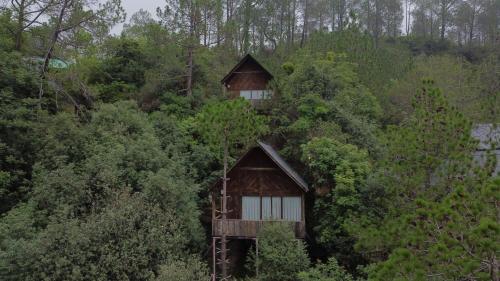 alaya stays suro woodbine chalet cottage