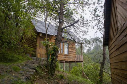 alaya stays suro woodbine chalet cottage