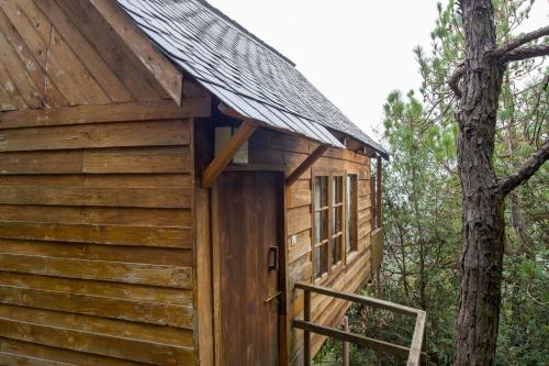 alaya stays suro woodbine chalet cottage