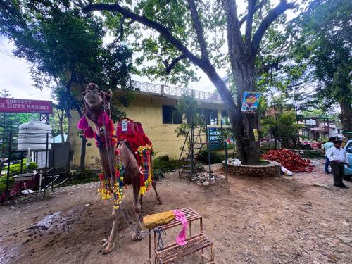 staybook the rudveda resort