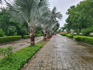 club azzurro resort nalsarovar